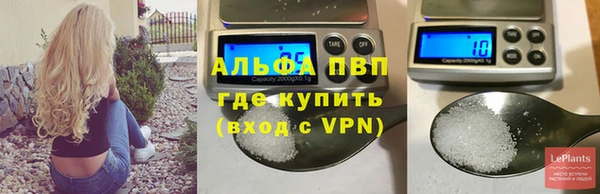 дмт Мегион