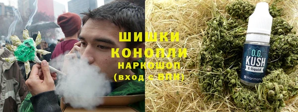 дмт Мегион