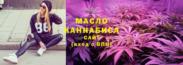 тгк Медногорск