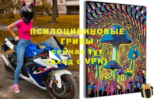 MDMA Premium VHQ Медвежьегорск