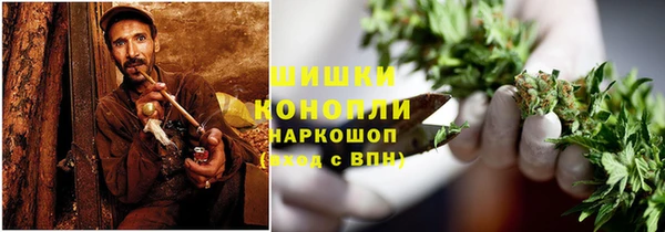 тгк Медногорск