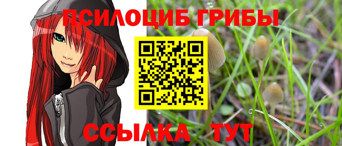 Фрязино  Галлюциногенные грибы Psilocybe  Вход с VPN 