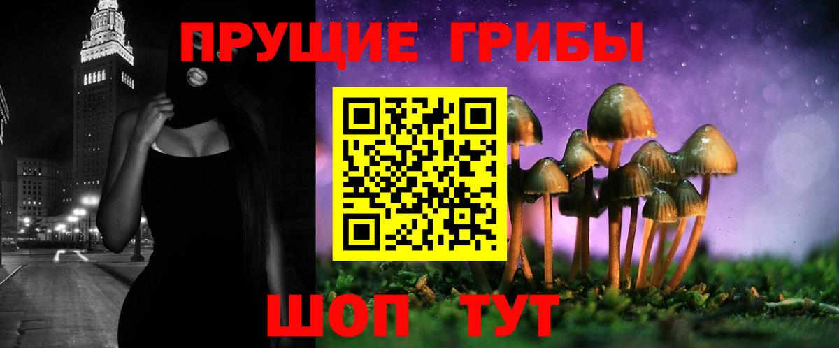 Псилоцибиновые грибы прущие грибы Фрязино